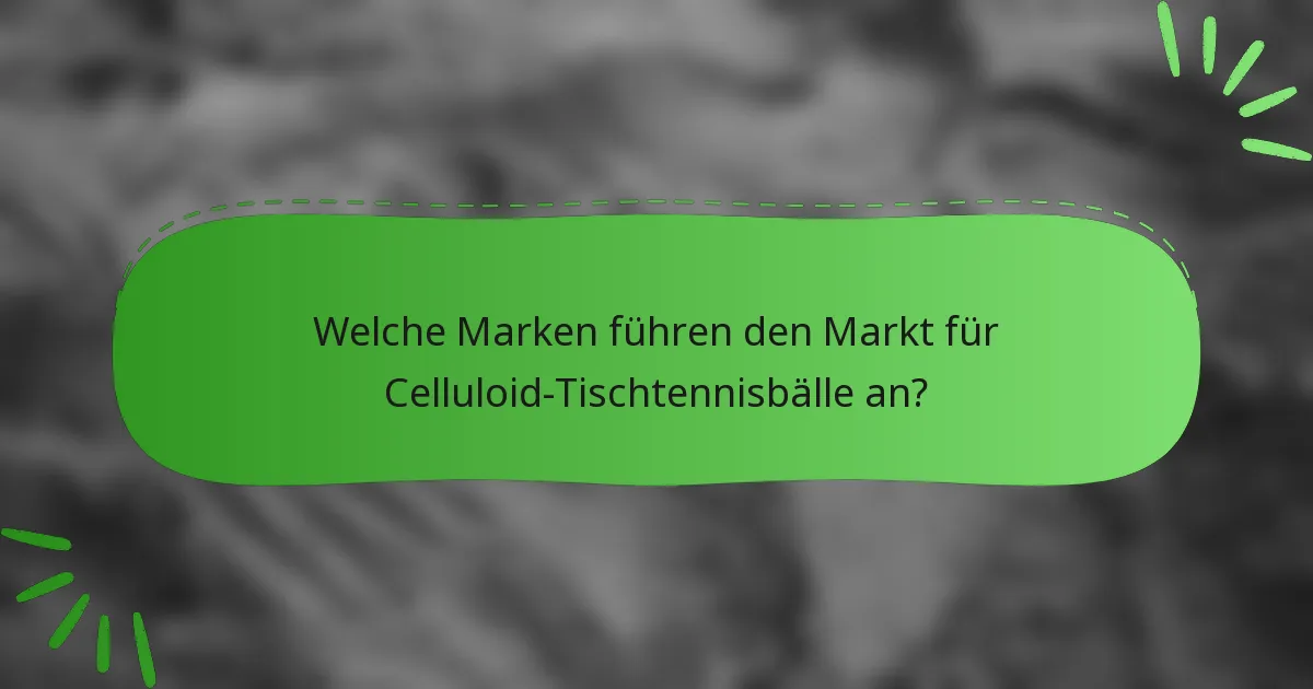 Welche Marken führen den Markt für Celluloid-Tischtennisbälle an?